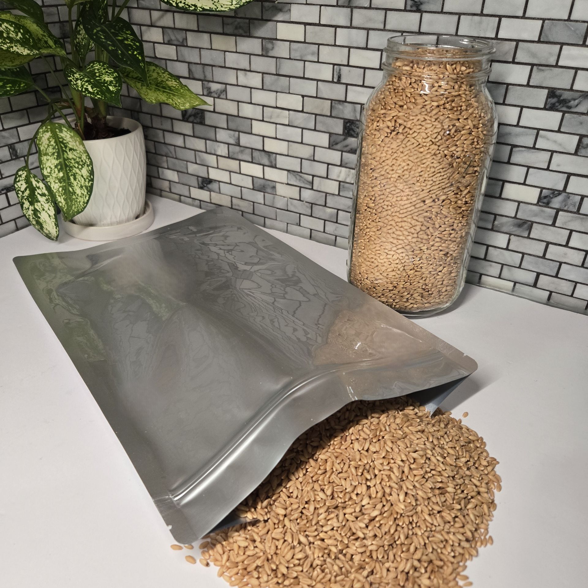 Picture of 1 Gallon 7-Mil Zip Top Mylar Bags (300-COUNT)