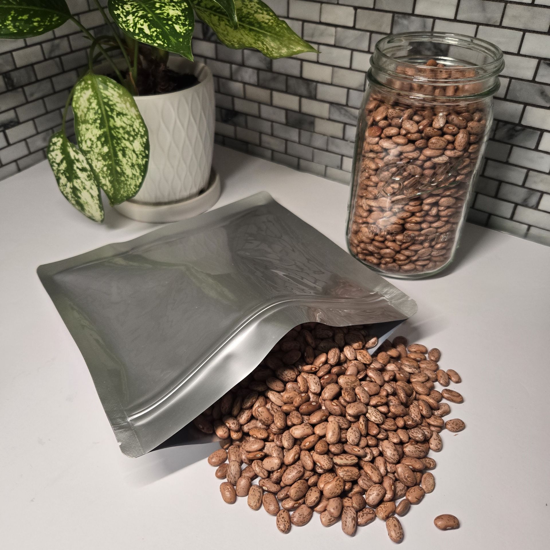 Picture of 1 Quart 7 Mil Mylar Zip Top Bags (50-COUNT)