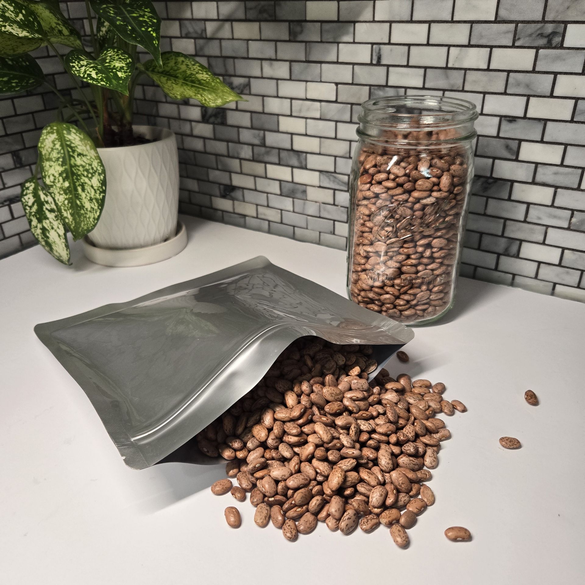 Picture of ZIP TOP BUNDLE with 150 OXYGEN ABSORBERS