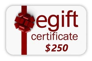Picture of $250 eGift Certificate (by EMAIL)